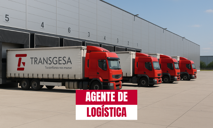 Agente de logística